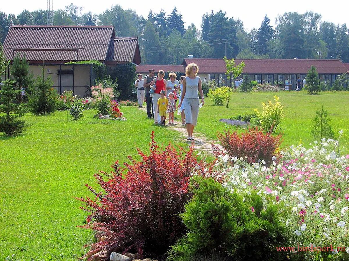 Деревня воробьи парк птиц. Парк птиц воробьи, село Совхоз победа. Парк птиц Жуковский район. Деревня воробьи Калужская область парк птиц.