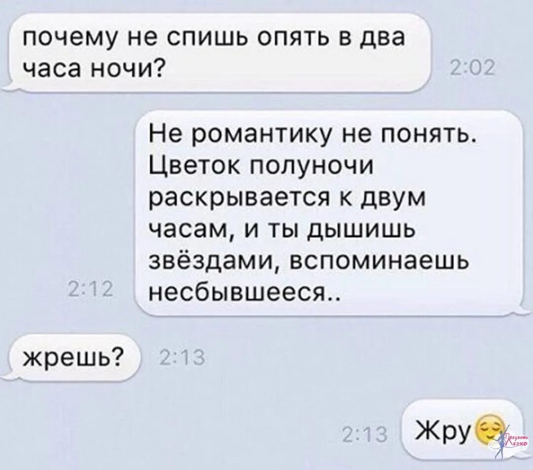 Что делаешь почему не спишь. Опять спишь. Опять не спишь. Переписка с заказчиком.