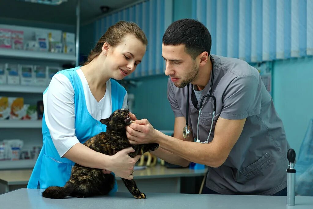 Ветеринарный врач россия