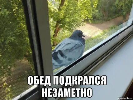 Подкрался неожиданно