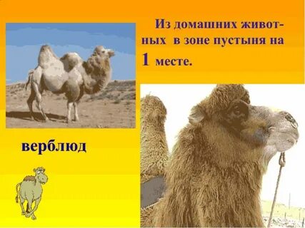 Пустыни презентация 4 класс плешаков