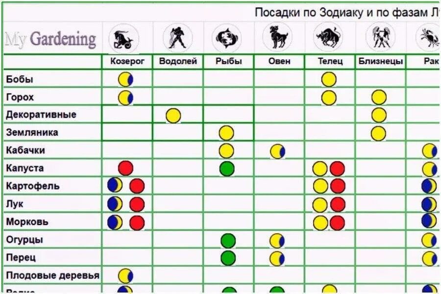 Плодородные знаки зодиака для посадки овощей