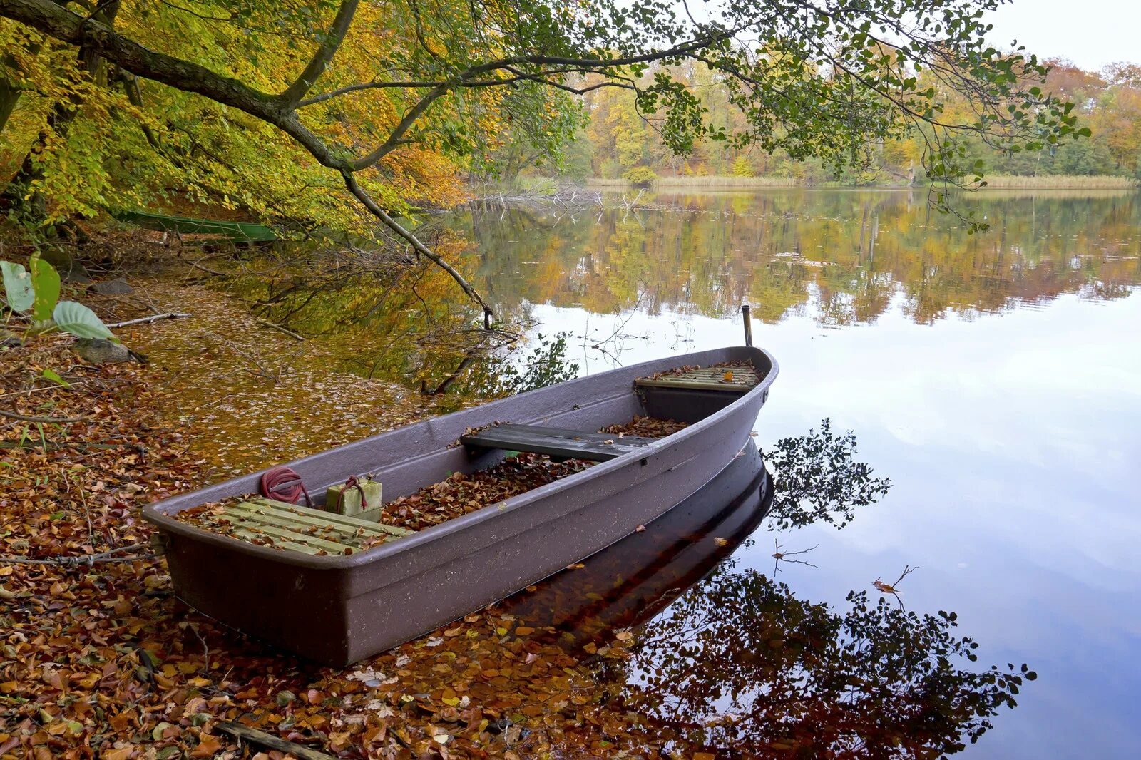 Юная плоскодонка. Лодка на реке. Лодка с веслами. Лодка на пруду. Старая деревянная лодка.