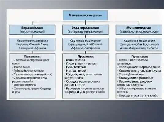 Сходство рас человека