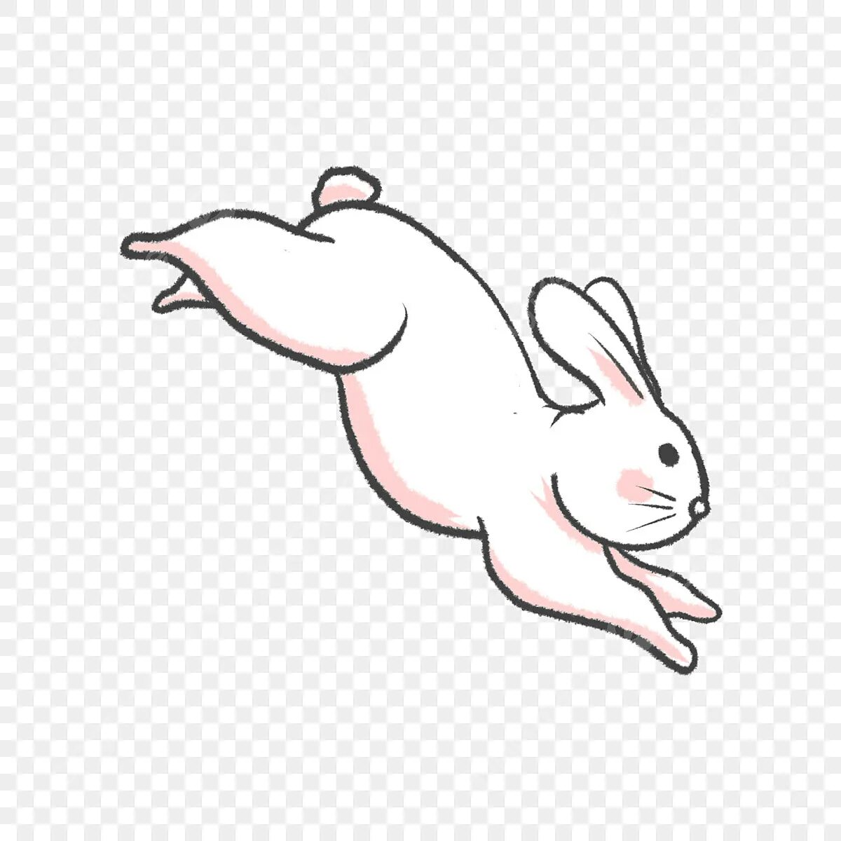 Кролик прыгает. Кролик в прыжке. Нарисованный кролик в прыжке. Крольчонок прыгает.