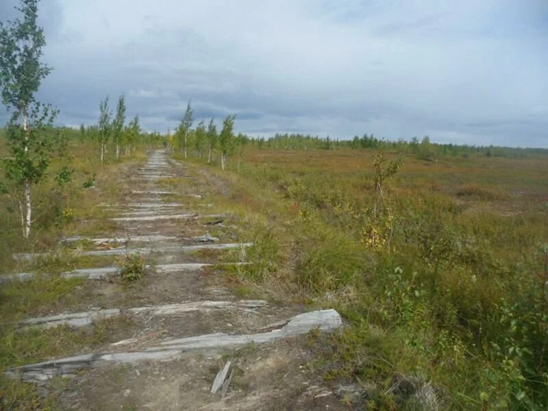 Индига (посёлок). Индига зимник. Стройка 501 503 мёртвая дорога. Тундра усинск. По тундре по железной дороге.
