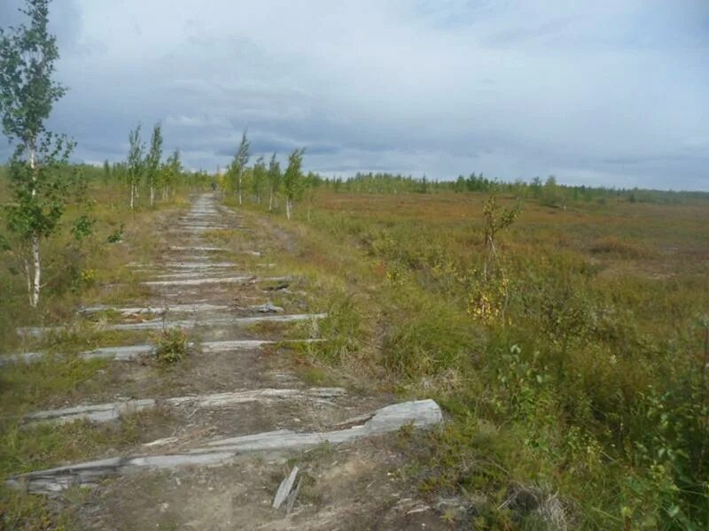 По тундре по широкой. Воркута тундра. Железная дорога Воркута Ленинград. Железная дорога в тундре. По тундре по железной.