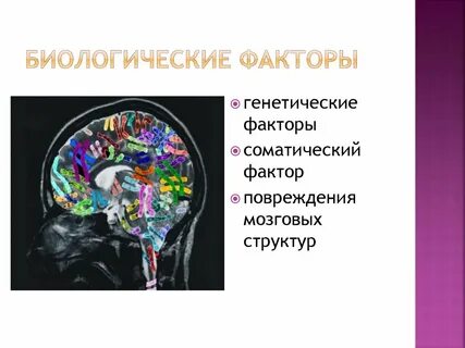 Биологические факторы повреждения