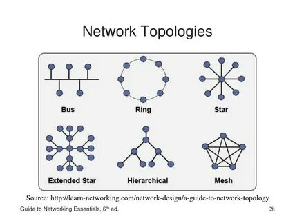 Allowedtypes fixedstring randomstring select allowedtypes