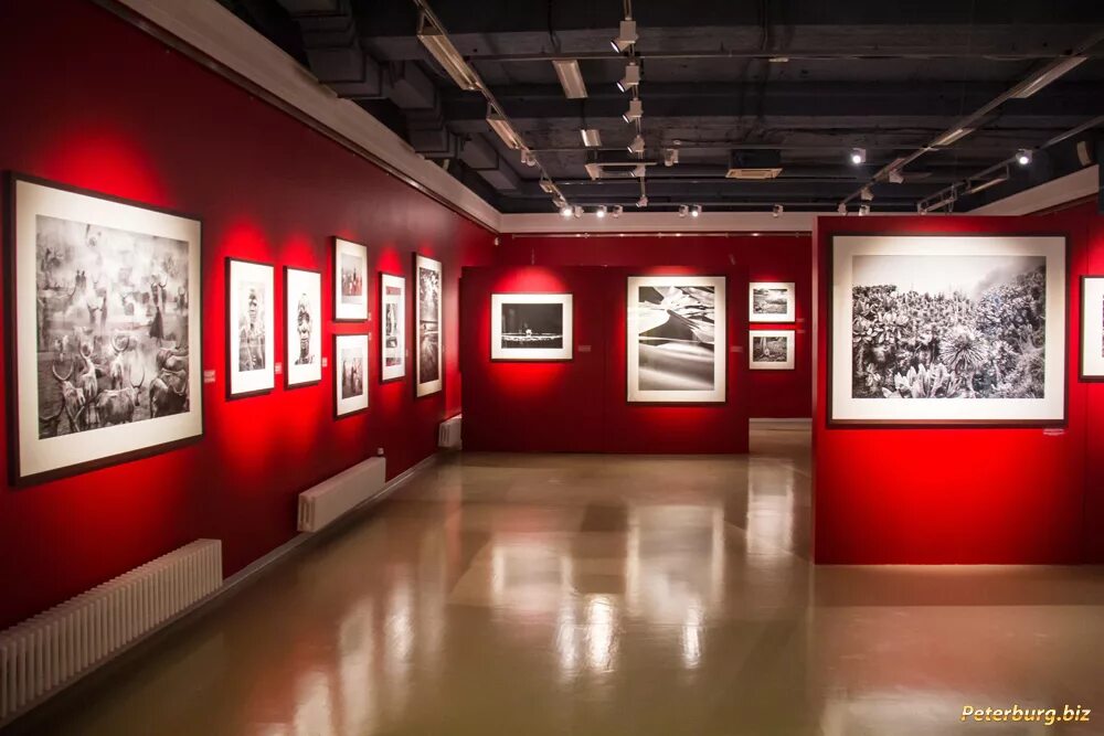 маша ждан акварель питера. музей академии художеств в санкт-петербурге. сайты искусство петербурга. музей академии штиглица. университет культуры и искусства спб.