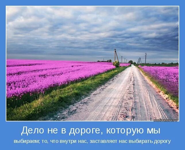 Цитаты про дорогу. Судьба. Предназначение. Дороги расходятся. Смысл про судьбы.