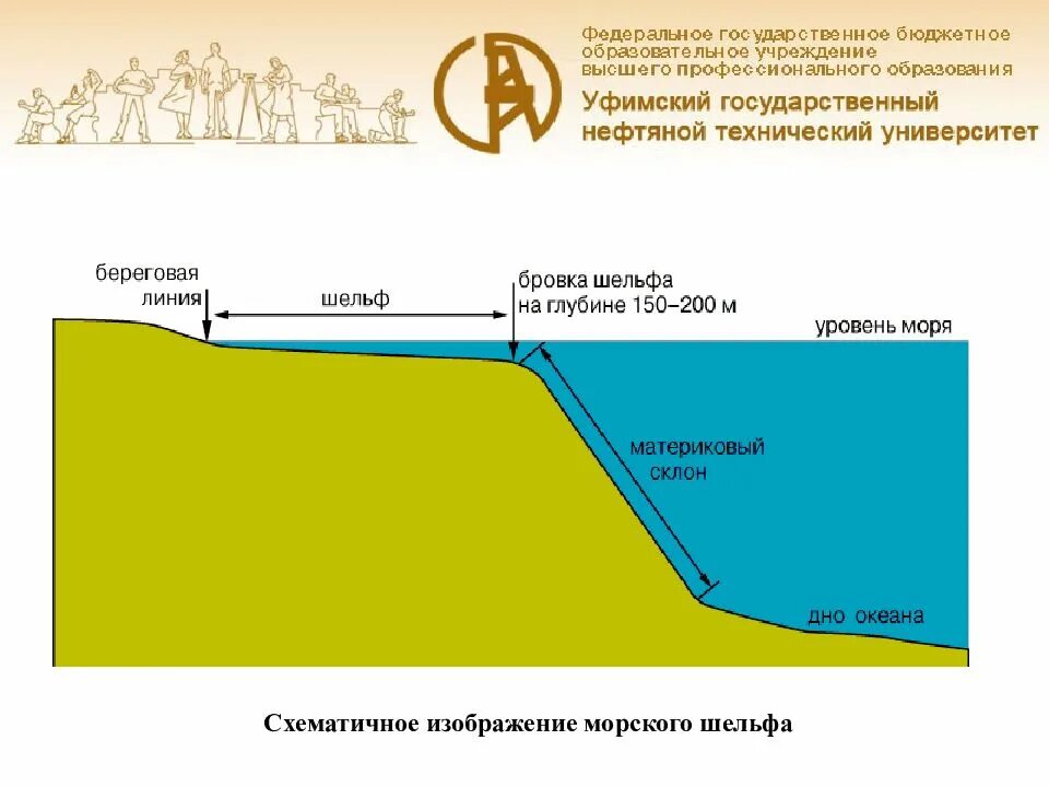 Шельф океанов. Рельеф дна мирового океана шельф. бровка шельфа. материковый шельф. шельф глубина.
