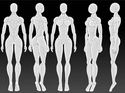 Teach me about female body