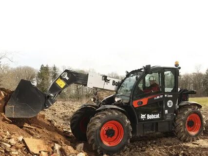 Bobcat tl