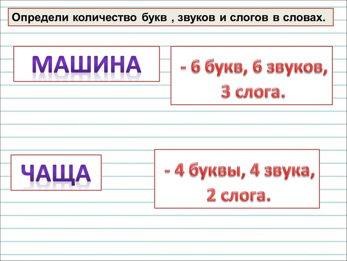 Количество звуков в слове первые