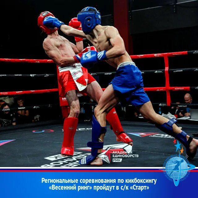 соревнования по кикбоксингу. кикбоксинг региональный. кикбоксинг соревнования 2022 медали. кикбоксинг региональный. кикбоксинг липецк.