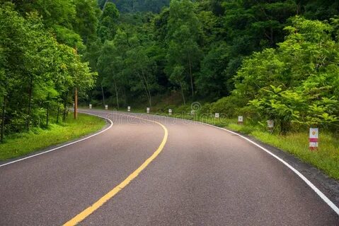 Auto path