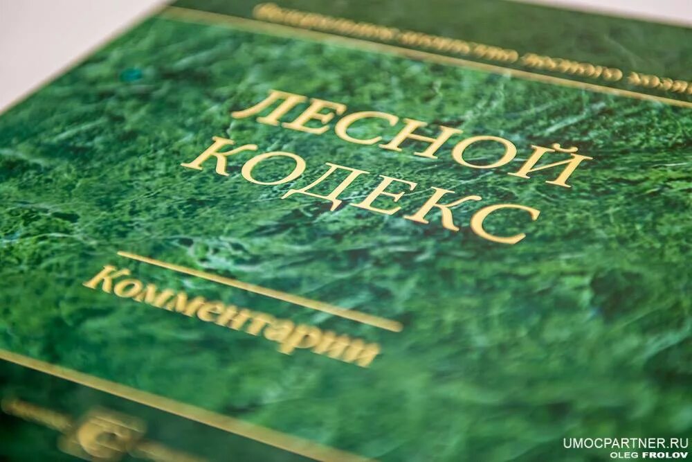 Лесное законодательство рф. Лесной кодекс. Лесной. Лесное законодательство. Лесной кодекс Российской Федерации.