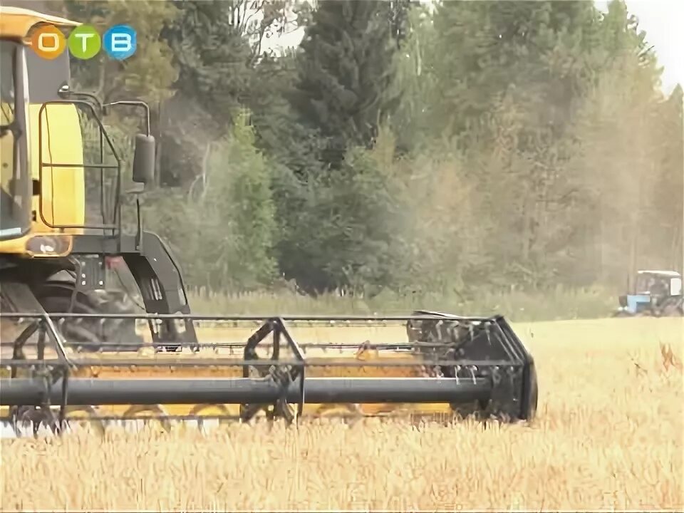 Осаново тульская область. Рп 5 наро осаново. Рп 5 наро осаново. Наро осаново деревня. Магазин рыболова в деревне ляхово.