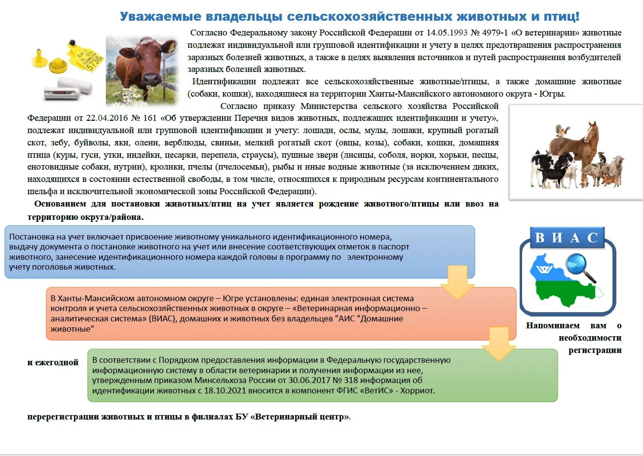 Закон о сельхоз животных. Информация для владельцев сельскохозяйственных животных.. памятка для владельцев сельскохозяйственных животных. обязательная идентификация животных. приказ по идентификации животных.