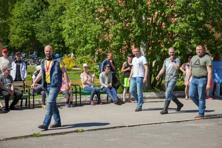 Вк пни. Волосовский пни. Котовский пни ВК. Городецкий пни ВК.