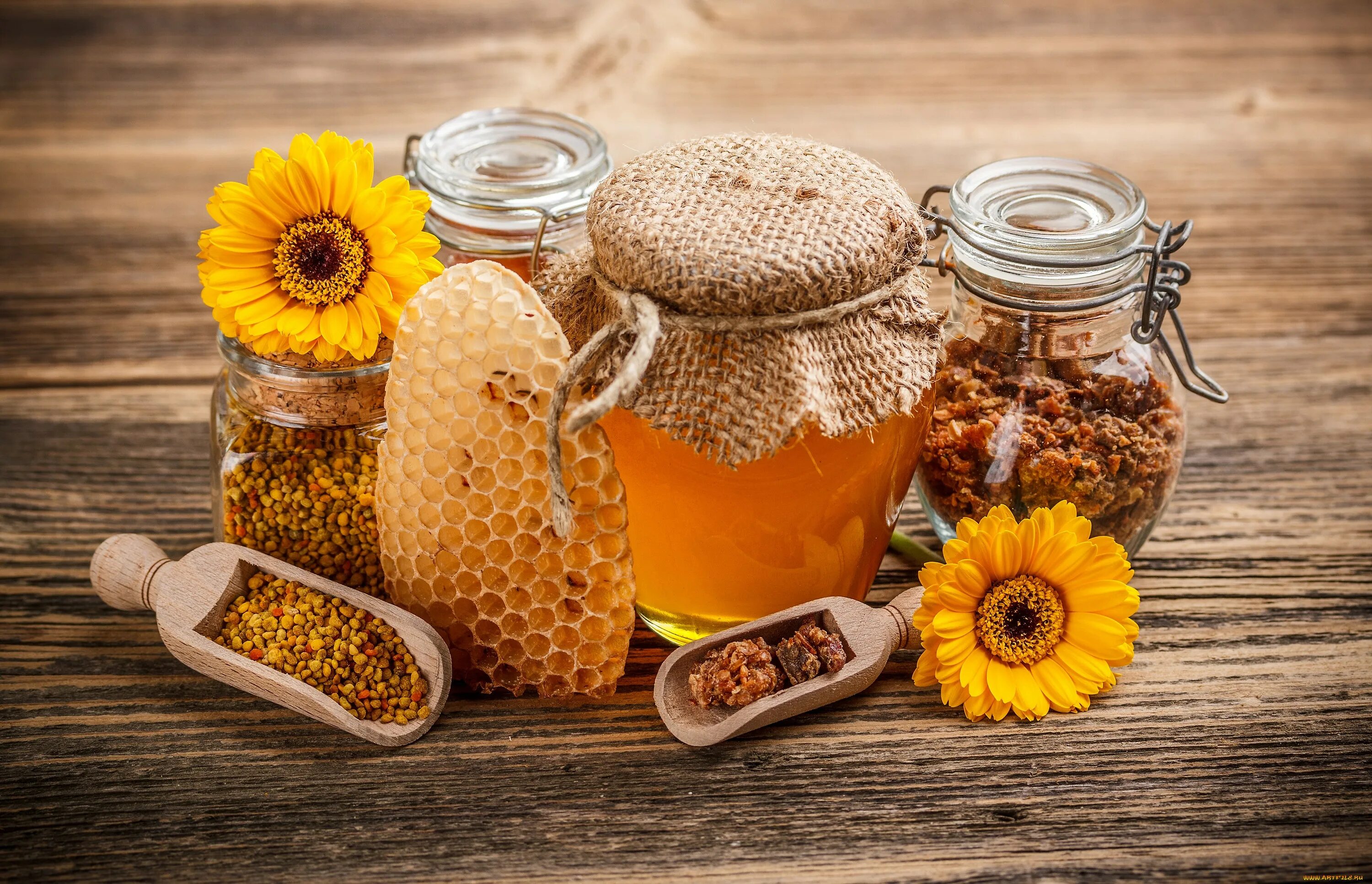 Honey com. Продукты пчеловодства. Мёд и продукты пчеловодства. Пчелы продукты пчеловодства. Мед и медовая продукция.