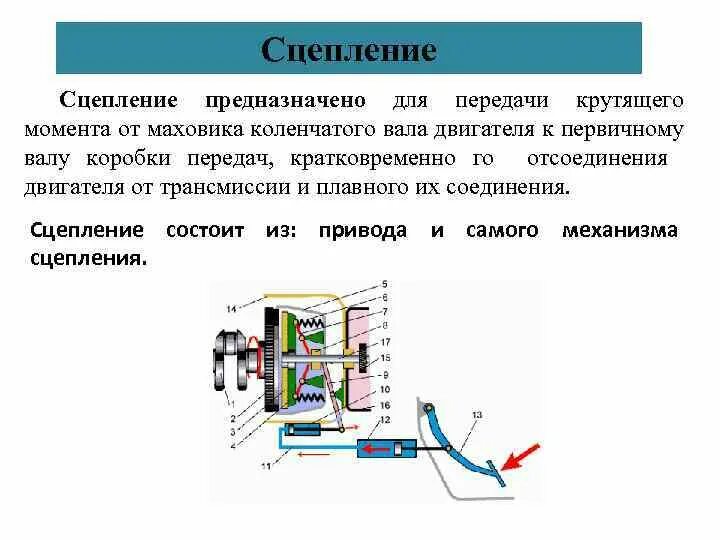 Как проверить сцепление на механике. Схема сцепления механической коробки передач. Как работает автоматическое сцепление. Сцепление предназначено для. Схема сцепления автомобиля.