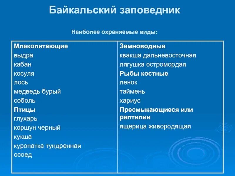 Байкальский заповедник охраняемые виды. Байкальский заповедник рассказ. Заповедник Байкальский заповедник доклад. Байкальский заповедник доклад. Байкальский заповедник информация