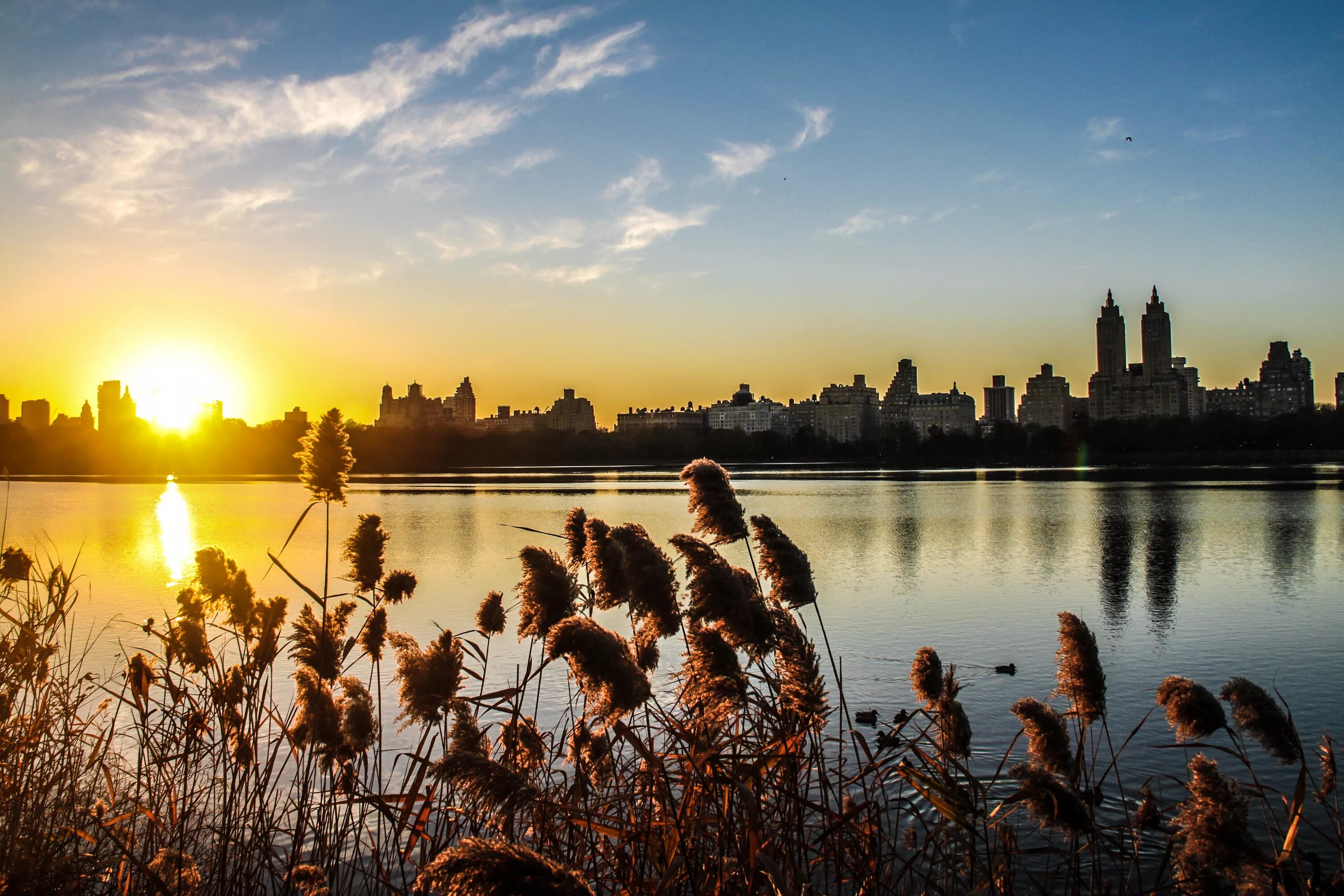 Читать восход солнца 8. Центральный парк Нью Йорк закат рассвет. Восход солнца в городе. Рассвет в городе. Летний рассвет в городе.