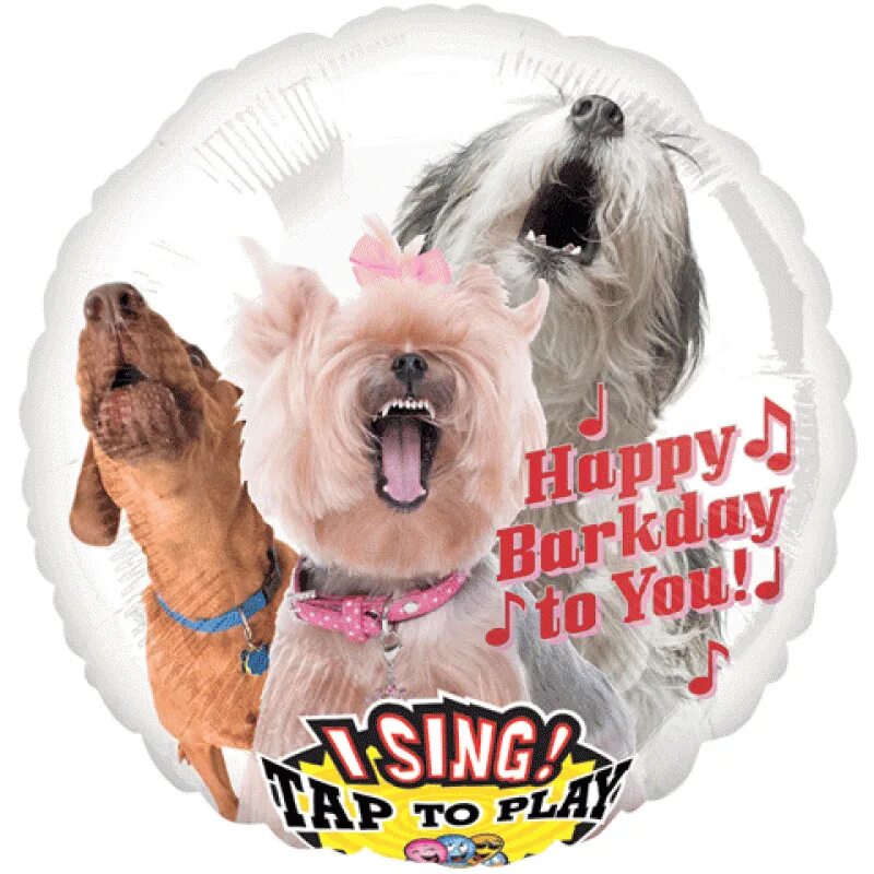 Собака в шаре. Воздушные шары собаки. Шары с собаками. Шарик собачка. С днем рождения собачка с шариком.