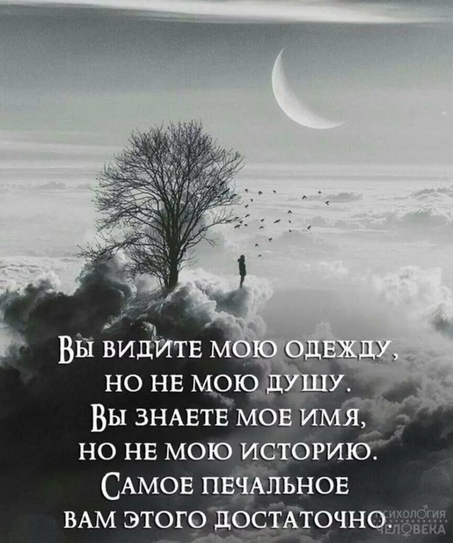 Статусы картинки со смыслом о жизни. Душевные высказывания. Картинки с душевными Цитатами. Душевные цитаты. Печальные цитаты.