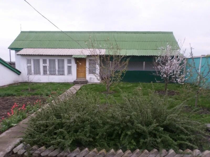 Селиховы дворы курск карта. Селиховы дворы курская область. Курская область селиховы дворы на карте. Деревня екатериновка курская область. Селиховы дворы курская область на карте.