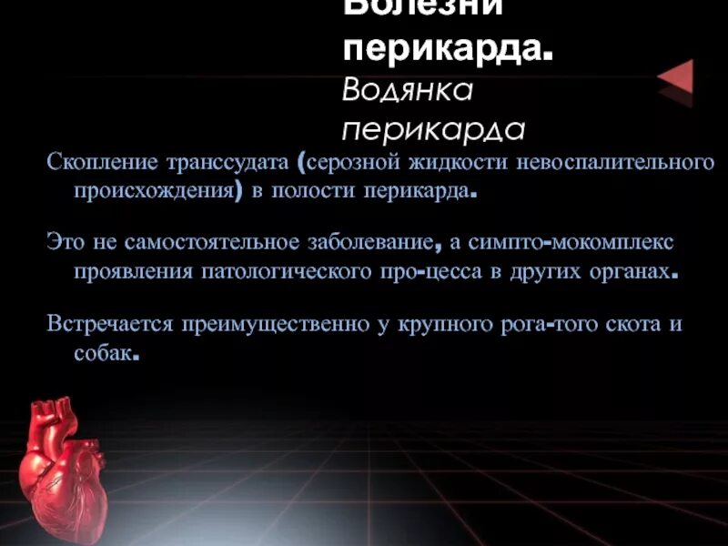 Скопление воздуха и крови в перикарде. Болезни сердца воспалительные и невоспалительные. Скопление транссудата. Презентация на тему вет.кардиология. Накопление транссудата в перикарде причины.