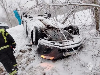 Новгородская область сейчас
