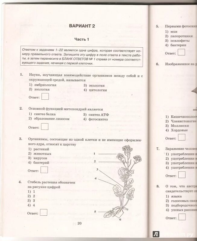 Тест по биологии класс огэ. Биология задания. Биология 9 класс задания. ОГЭ по биологии задания. Тестовые задания по биологии.