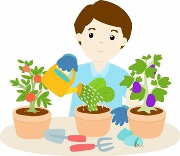 I like planting