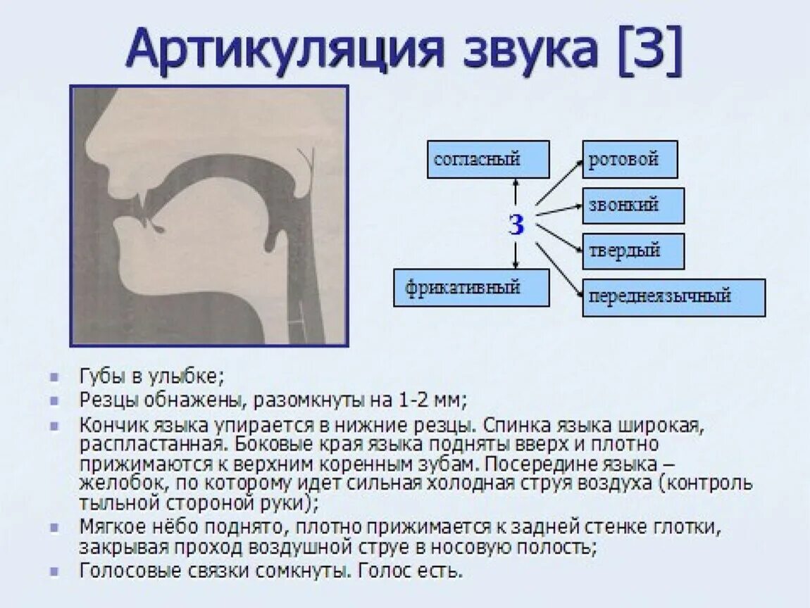 Положение органов артикуляции при произнесении звука с. Профили артикуляции свистящих звуков. С З. Артикуляционный профиль звука з. Норма артикуляции звука с. Функции звука речи