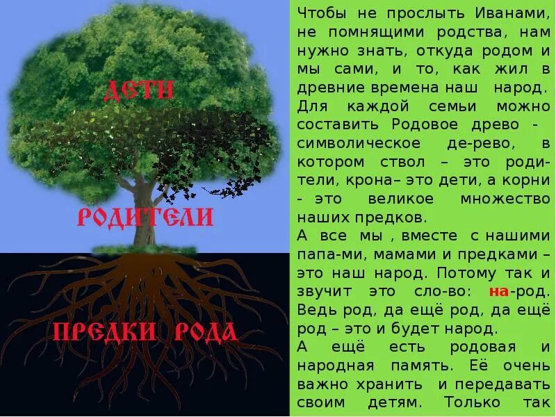 Сохранить род том. Род. Мой род. Родовая знать. Иваны не помнящие родства.