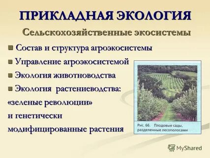 Сельскохозяйственные экосистемы