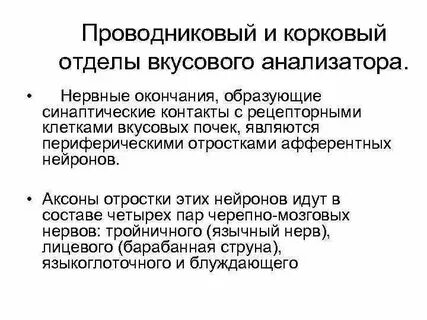 Проводниковый отдел вкусовой системы