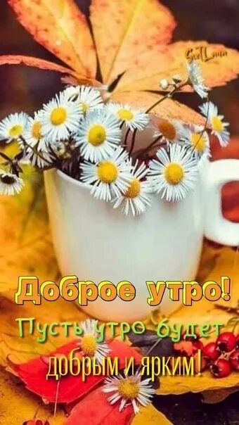 Good morning Photocollage, Herbstmotive, Blumen