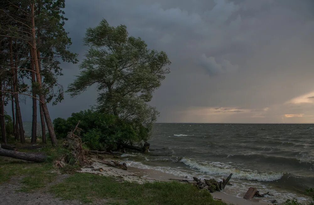 Ветер с моря дул. С моря дул сильный ветер. Легкий ветерок на море. Ветер с моря дол. Ветер с моря дует.