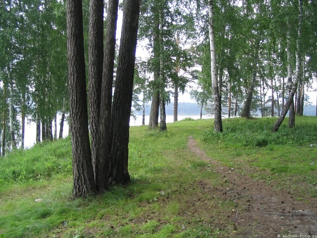 Куплю участок железногорск. Железногорск Красноярский край гора. Красноярск-26 Железногорск. Дача в Железногорске Красноярского края. Ива в Железногорске Красноярского.