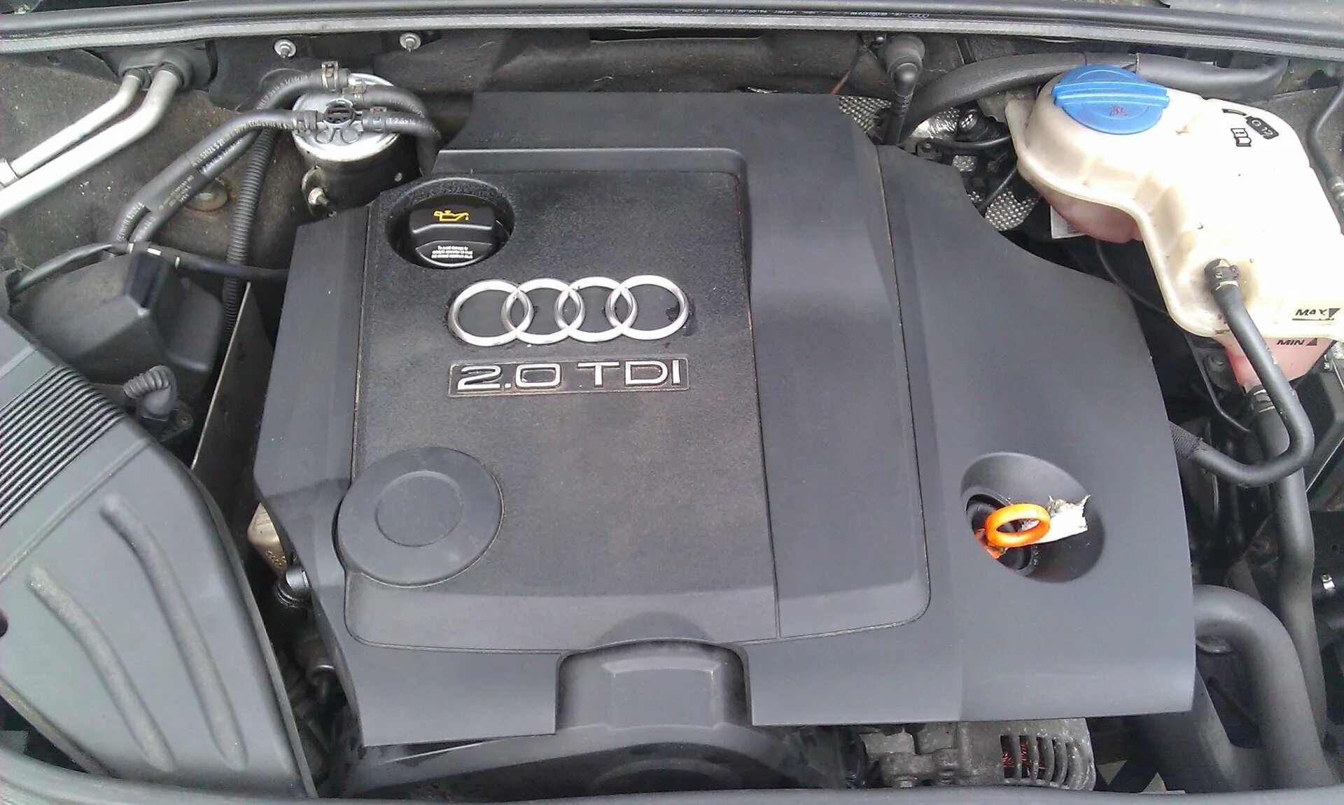 Ауди а6 с6 2.0 тди. Audi a6 2.0 TDI. Audi мотор 2.0 TDI. Двигатель Ауди а4 б6 2.0. Audi a4 b7 двигатель BFB.