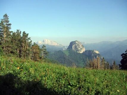 Горно лесной массив