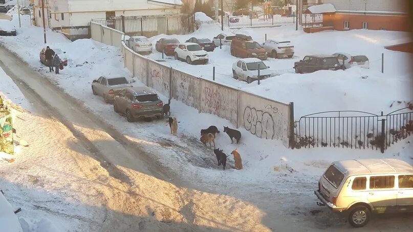 Подслушано в Самарском. Подслушивание в Самарском. Помойка рядом со школой. Подслушано Самара новости.