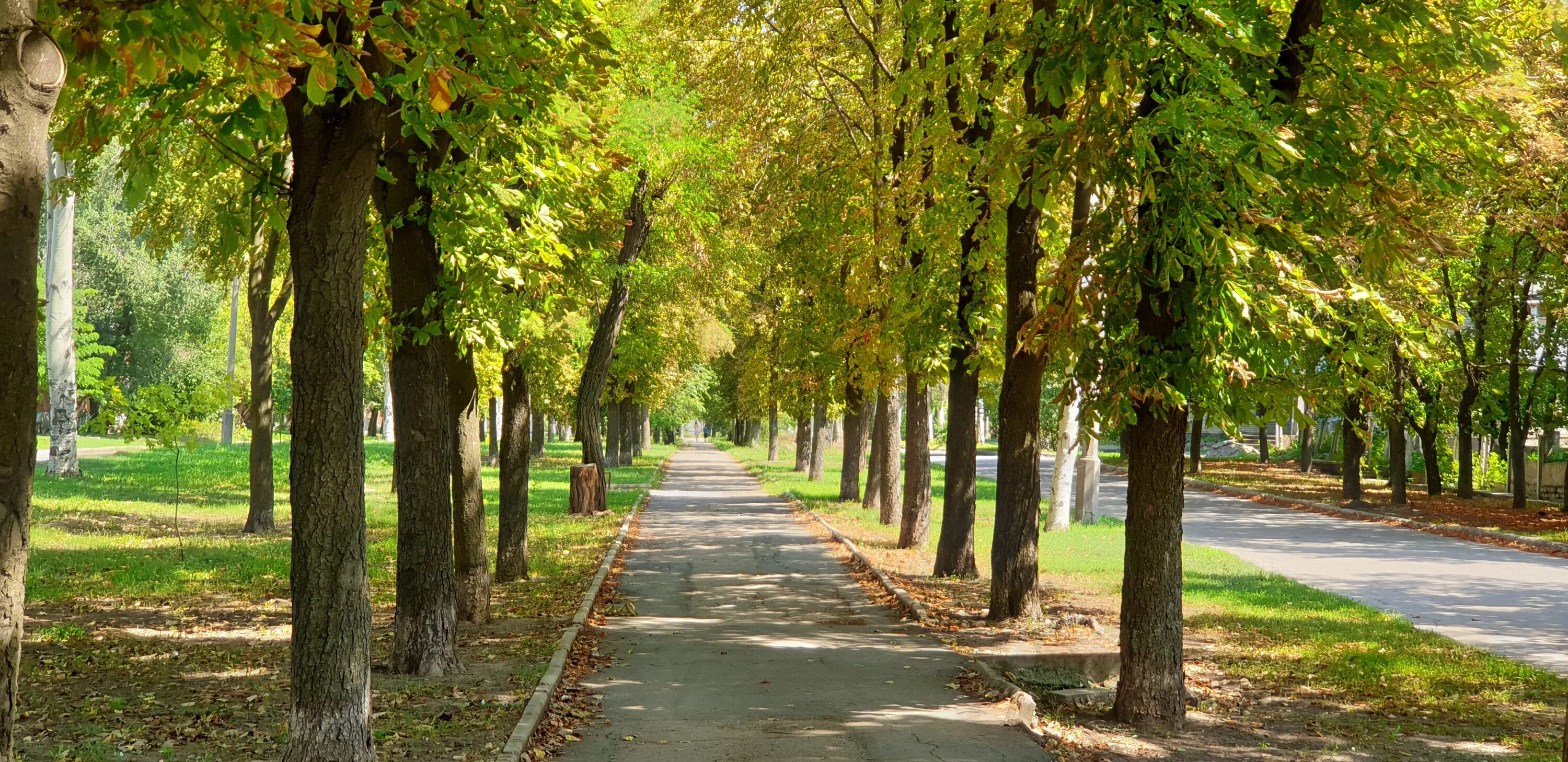 Бульвар франко 9 симферополь. Бульвар франко 22 симферополь. Г симферополь бульвар франко. Бул франко. Донецк бульвар франко.