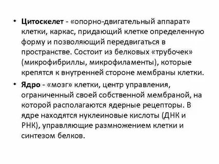 Придает клетке определенную форму