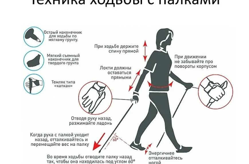 Правильная ходьба со скандинавскими палками. Ошибки ходьбы. Техника скандинавской ходьбы для начинающих. Как правильно ходить с палками для скандинавской ходьбы. Методика скандинавской ходьбы с палками для начинающих.