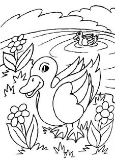 Lake coloring books